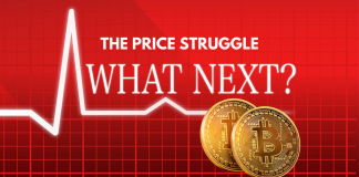 Bitcoin struggles