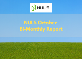 NULS October Bi-Monthly Report