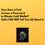 How Does it Feel to Lose a Password to Bitcoin Cold Wallet? Golix CEO Will Tell You All About it