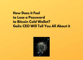 How Does it Feel to Lose a Password to Bitcoin Cold Wallet? Golix CEO Will Tell You All About it