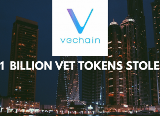 VeChain lost 1.1 Billion of VET. Blame the Hackers