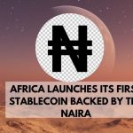 africa launches its first stablecoin backed by the naira