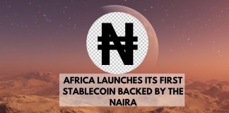 africa launches its first stablecoin backed by the naira