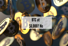 Bitcoin at $6,000, Says Brandt