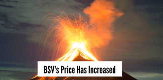Bitcoin SV (BSV) Price Increases After Tulip Trust III Filing