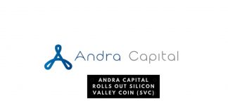 Silicon Valley Coin