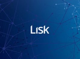 Lisk Tree Introduced by Lisk Protocol