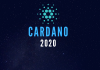 Cardano in 2020