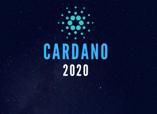 Cardano in 2020