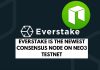 Neo Newest Consensus Node on NEO3 Testnet