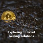 Exploring Different Scaling Solutions