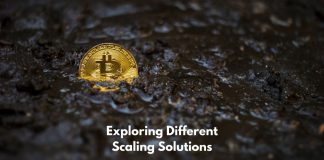 Exploring Different Scaling Solutions