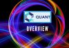 Quant Overview The Connectivity Backbone for Blockchain