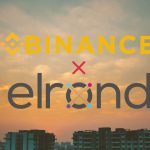Binance Partners Elrond for Stablecoin BUSD