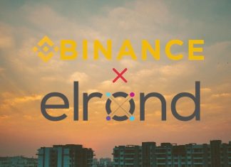 Binance Partners Elrond for Stablecoin BUSD