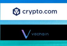 VeChain on Syndicate platform
