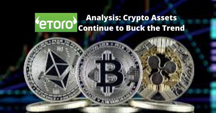 eToro Analysis Crypto Assets Continue to Buck the Trend