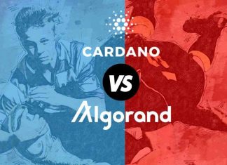 Cardano or Algorand who will replace Ethereum