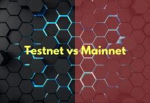 mainnet vs testnet