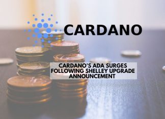 Cardano’s ADA Surges Following Shelley Upgrade Announcement