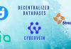 The Future of Data- Decentralized Databases