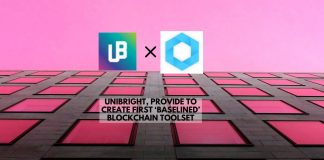 Unibright, Provide to Create First ‘Baselined’ Blockchain Toolset
