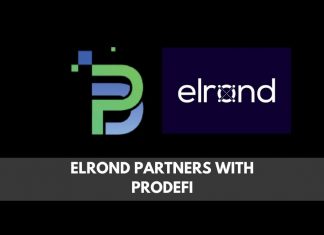 Elrond partners with Prodefi
