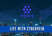 What Life would look like if CyberVein is adopted?