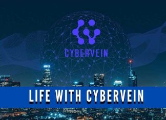 What Life would look like if CyberVein is adopted?