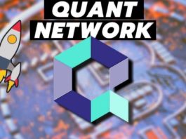Quant Network (QNT) Treasury Model Guide