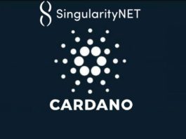 SingularityNET to Move a Big Chunk of Network to Cardano
