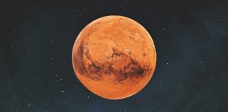 Elon Musk Agrees Mars Economy To Be Crypto-Based