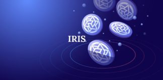 IRIS Price: Mainnet Upgrade