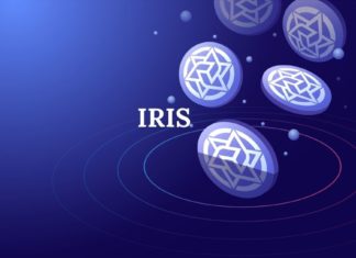 IRIS Price: Mainnet Upgrade