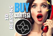10 Compelling Reasons to Buy Cartesi (CTSI) (1)