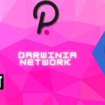 Darwinia Network: The Polkadot Bridge Hub
