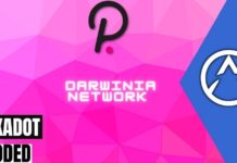 Darwinia Network: The Polkadot Bridge Hub