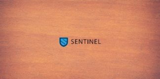 Sentinel Network (DVPN) - Taking Internet Privacy Seriously