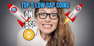 Top 5 low cap coins on bsc