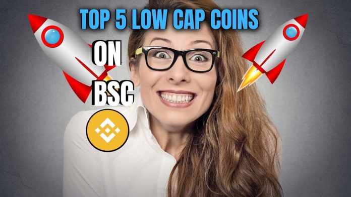 Top 5 low cap coins on bsc
