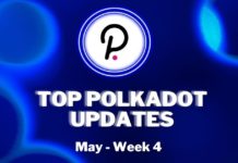 Top Polkadot Updates| May Week 4