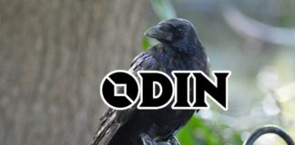 ODIN Protocol - Data Oracle Platform for Geo DB