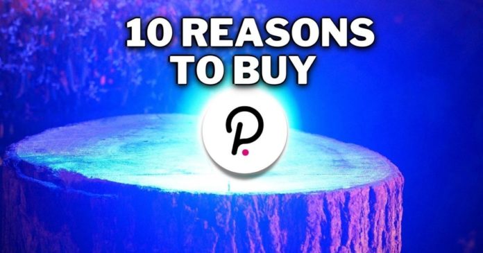 10 Reasons to Buy Polkadot (DOT)