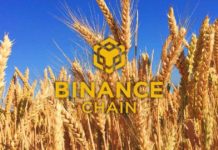 Binance Chain Wallet: How to Setup and Use the Wallet Direct Feature