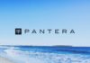 Pantera Capital CEO: Ethereum Will Continue to Outperform Bitcoin