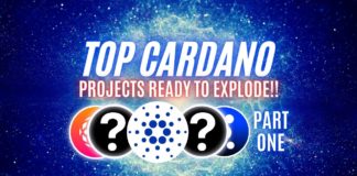 Cardano Top 10 Projects.