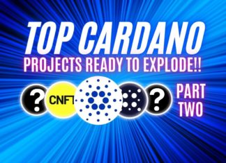 Cardano Top 10 Projects