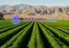 Cryption Network to Launch First-Ever Cross-Chain Farming