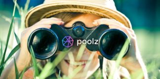 Poolz to Foray Into the Metaverse and NFT Gaming Space