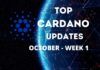 Top Cardano Updates October